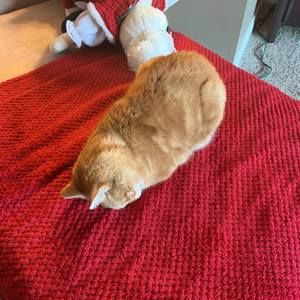 Meet your Posher, Deanna